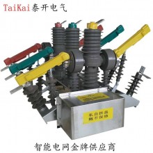 供應ZW32-12GG戶外雙電源全自動轉換真空斷路器